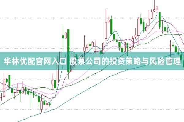 华林优配官网入口 股票公司的投资策略与风险管理