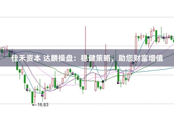 佳禾资本 达麟操盘：稳健策略，助您财富增值