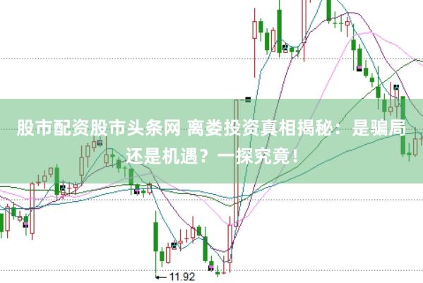 股市配资股市头条网 离娄投资真相揭秘：是骗局还是机遇？一探究竟！