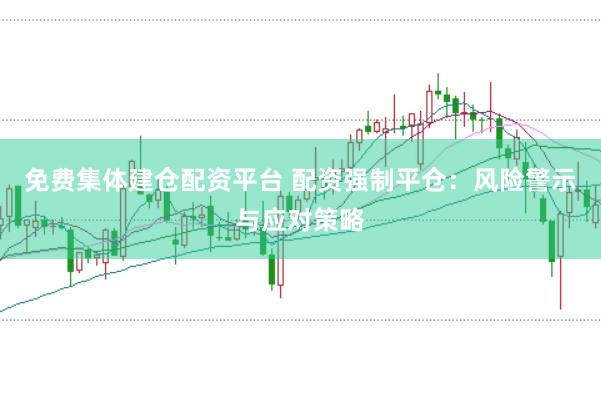 免费集体建仓配资平台 配资强制平仓：风险警示与应对策略