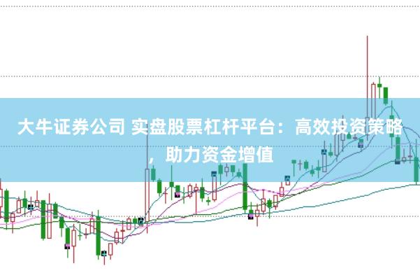 大牛证券公司 实盘股票杠杆平台：高效投资策略，助力资金增值
