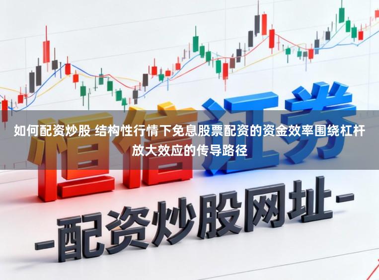 如何配资炒股 结构性行情下免息股票配资的资金效率围绕杠杆放大效应的传导路径