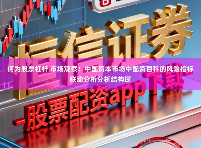 何为股票杠杆 市场观察：中国资本市场中配资百科的风险指标联动分析分析结构逻